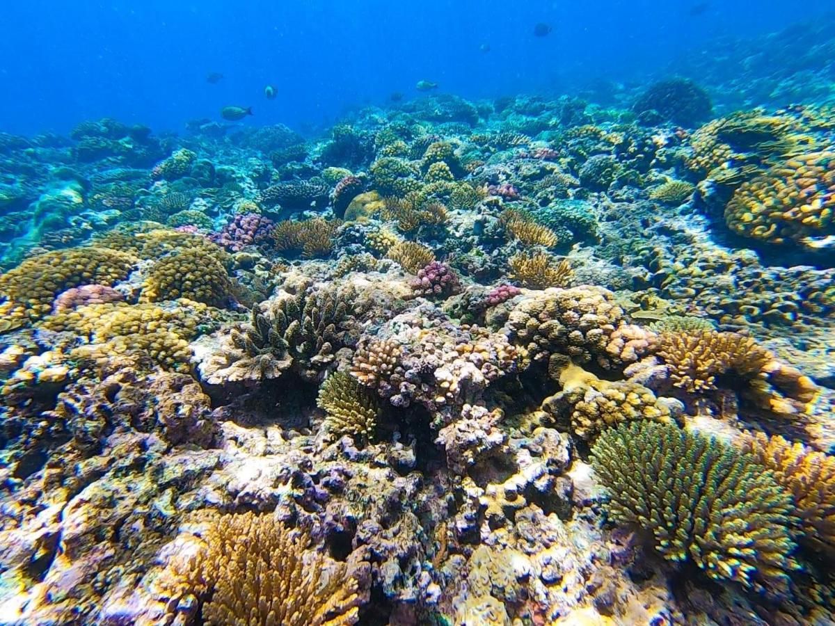 Nasama Resort Port Vila Eksteriør billede