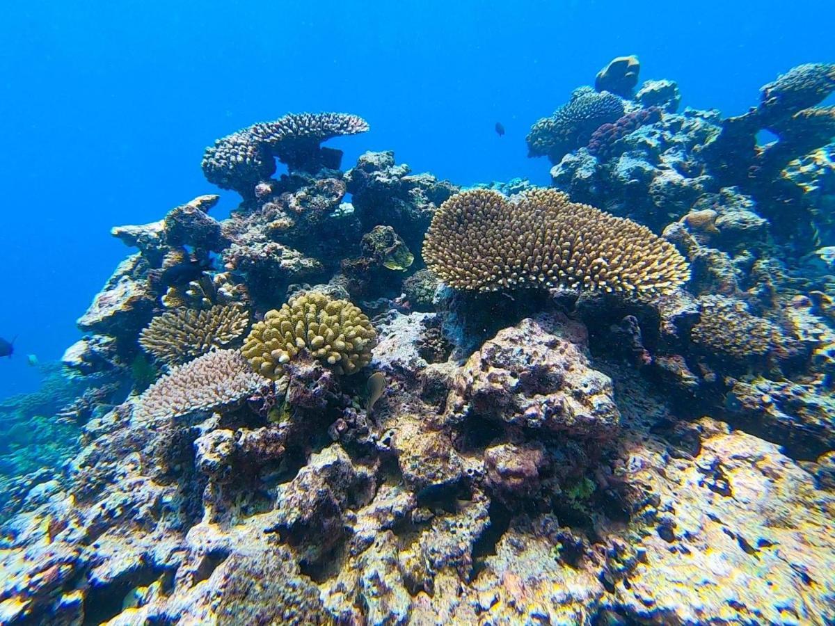 Nasama Resort Port Vila Eksteriør billede